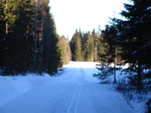 Klicka fr en strre bild