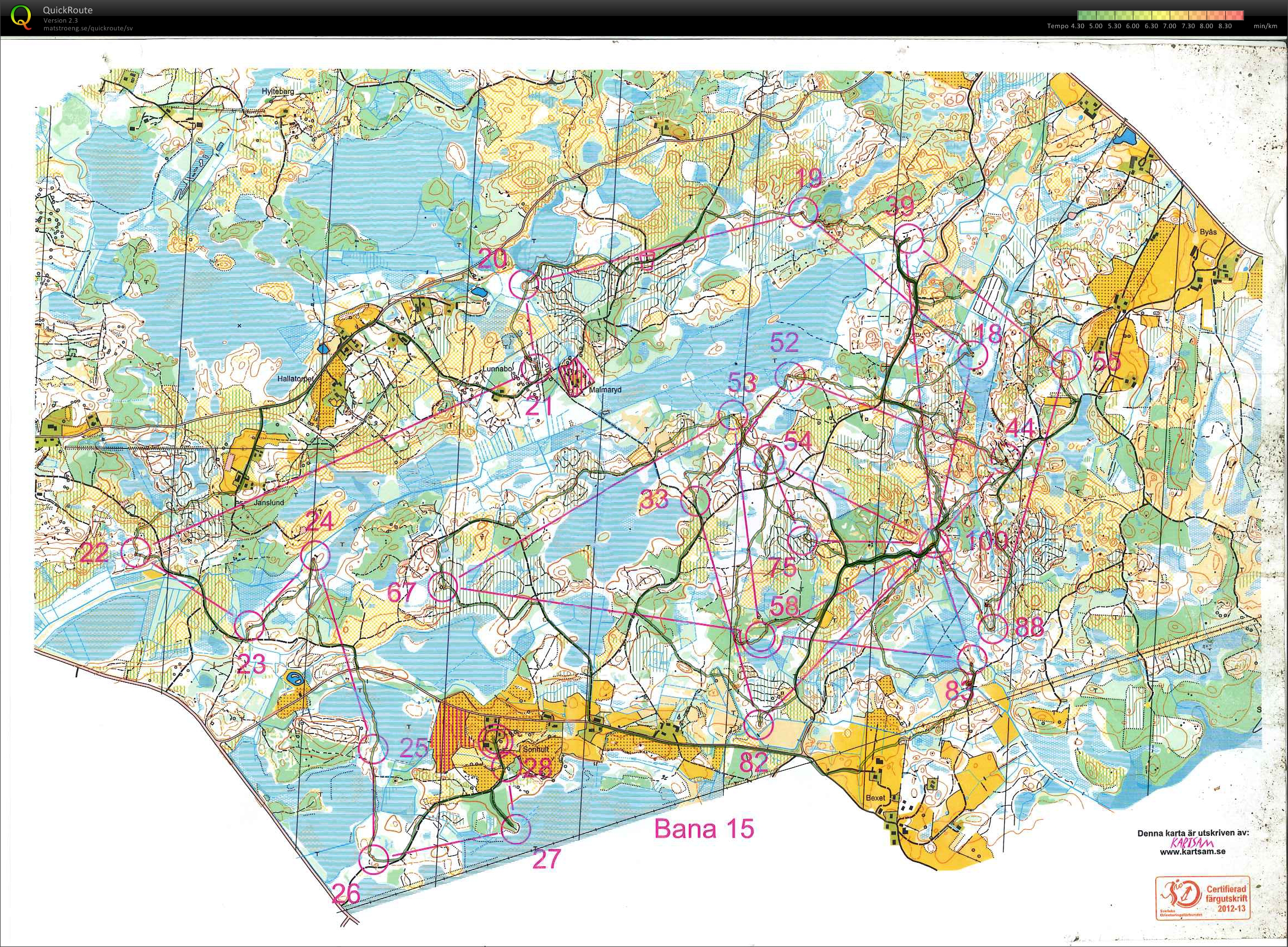 Sydsvenska 2-milen (04-11-2012)