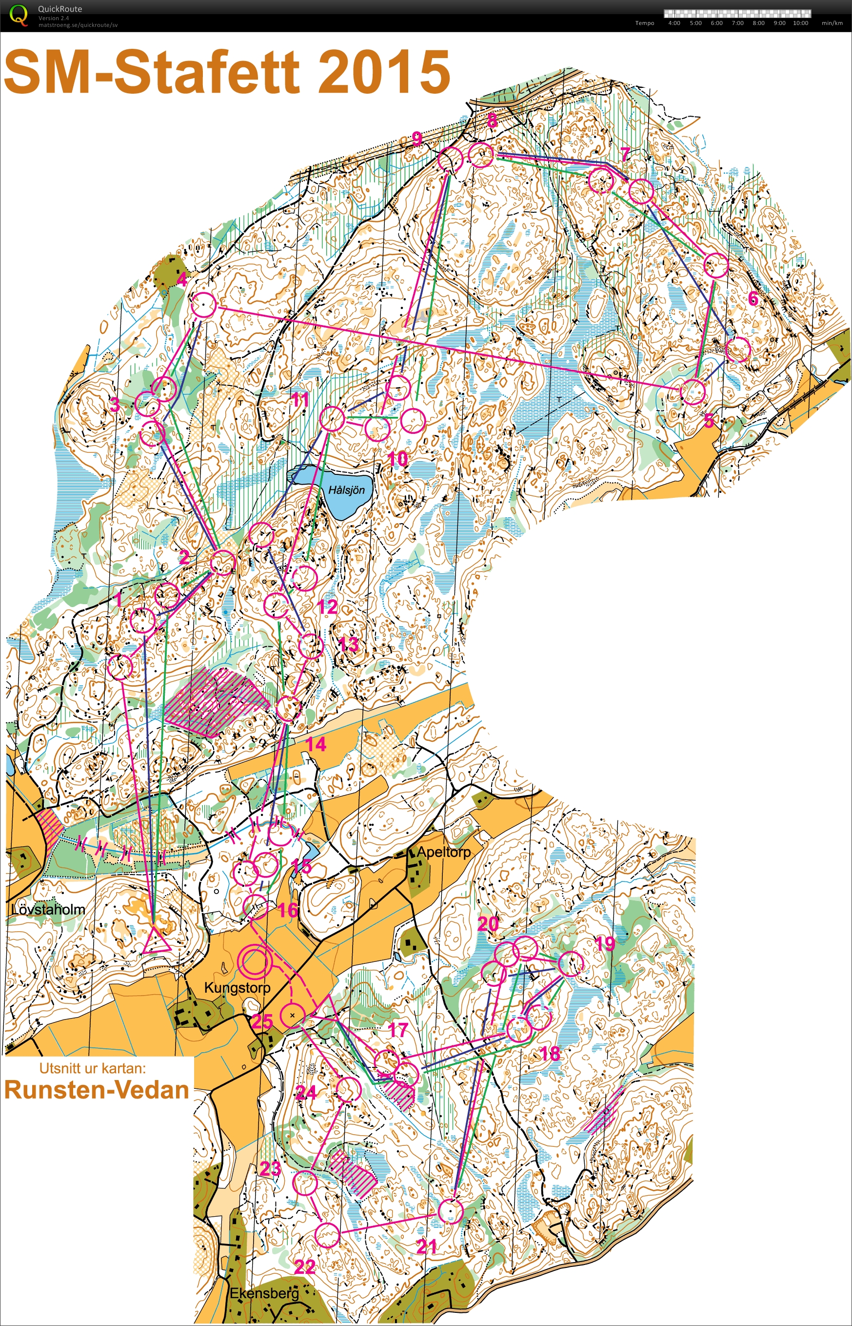 SM-stafett H21  (19/09/2015)