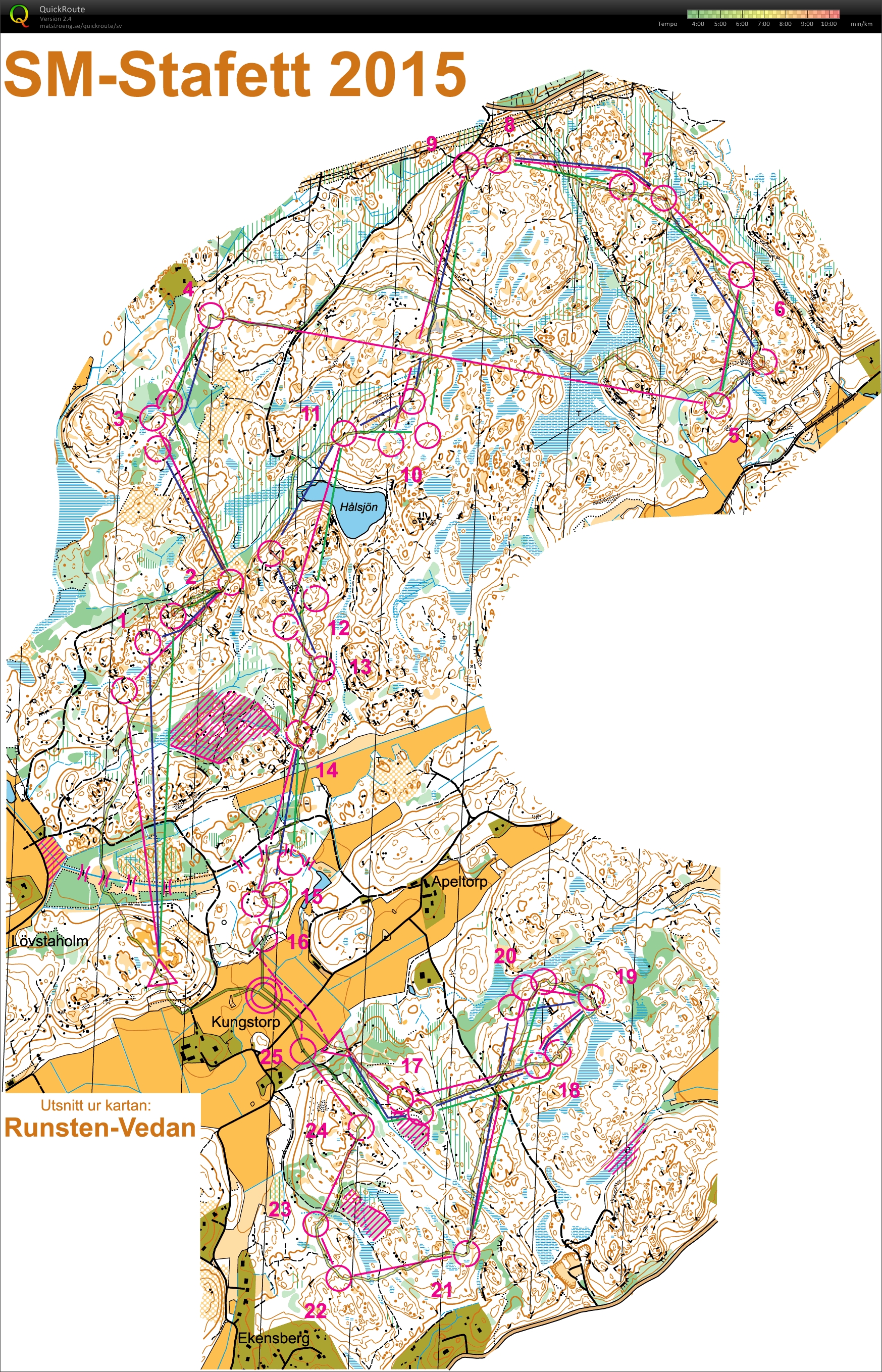 SM-stafett H21  (19.09.2015)